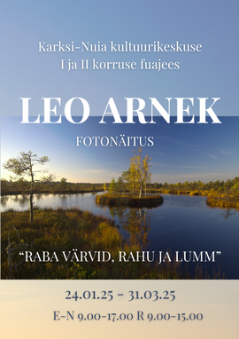 Fotonäitus LEO ARNEK Raba värvid, rahu ja lumm